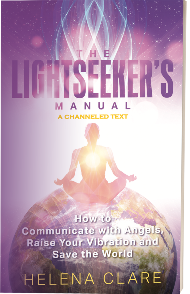 The Lightseeker's Manual book cover