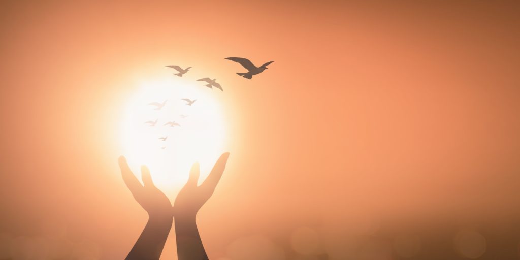 Birds flying out of a bright white light that two hands are holding