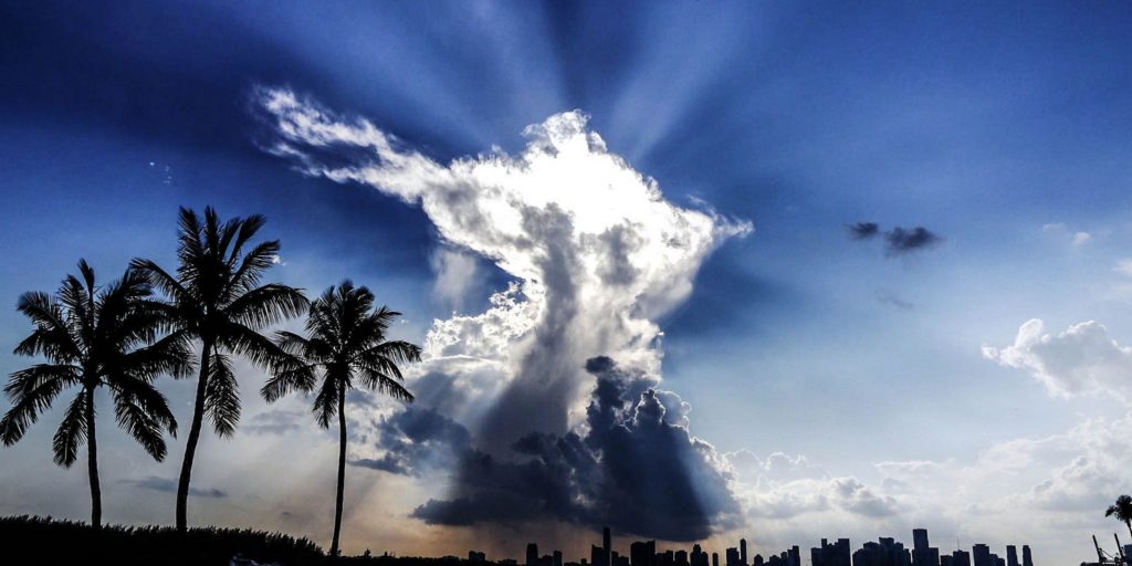 Angel shaped cloud with light shining through giving godly appearance. 